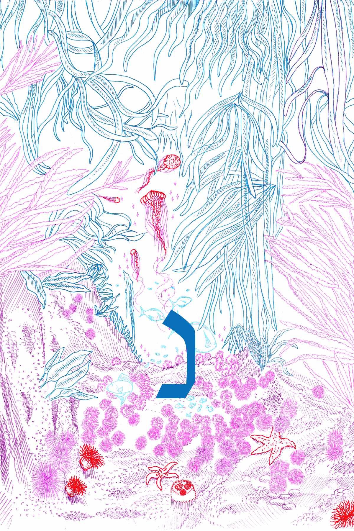 Carte 16